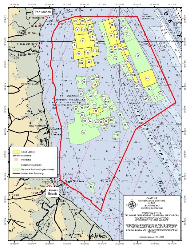Dozens of leases available for Delaware Bay shellfish grounds Cape